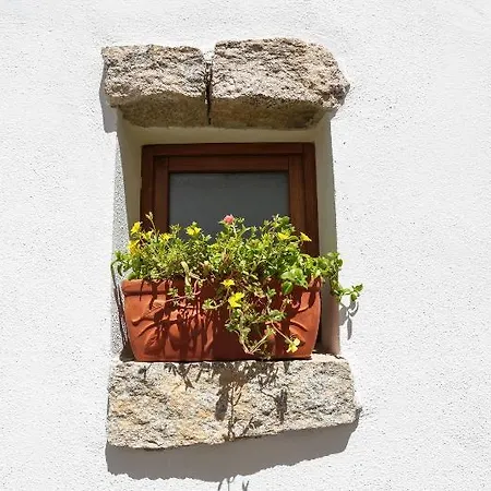 Olbia Domus Inn 3*
