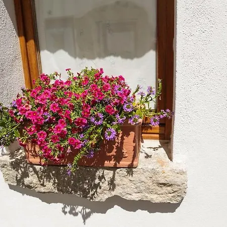 Olbia Domus Inn 3*