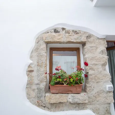 Olbia Domus Inn Guest house 3*