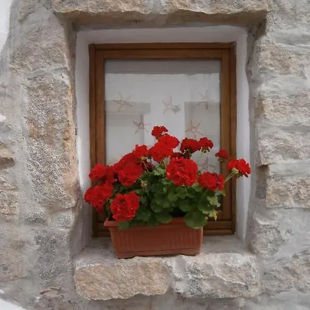 Olbia Domus Inn 3*