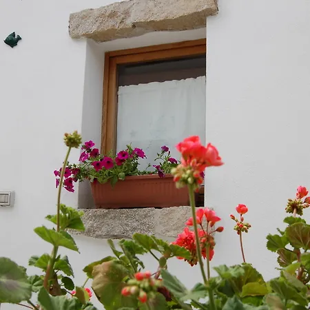 Guest house Olbia Domus Inn Olbia