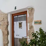 Domus Olbia