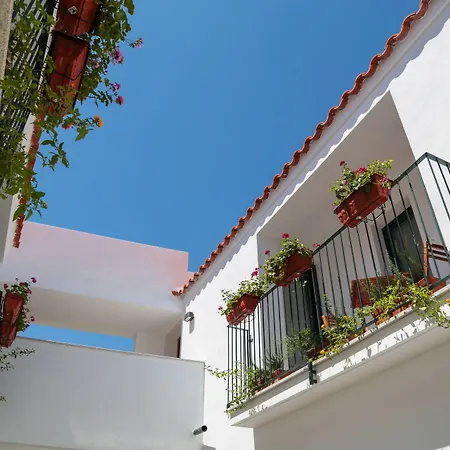 Pensión Domus