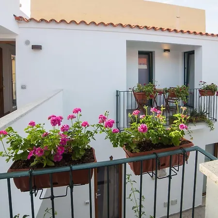 Domus Olbia