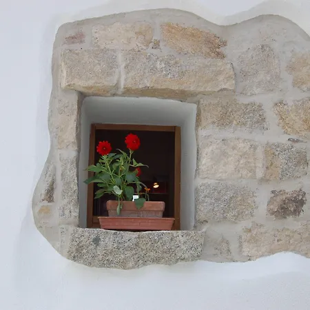 Pensión Domus