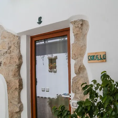 Pensión Domus