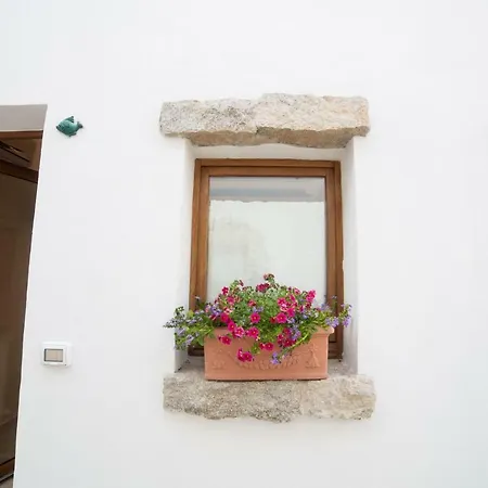 Pensión Domus 4*