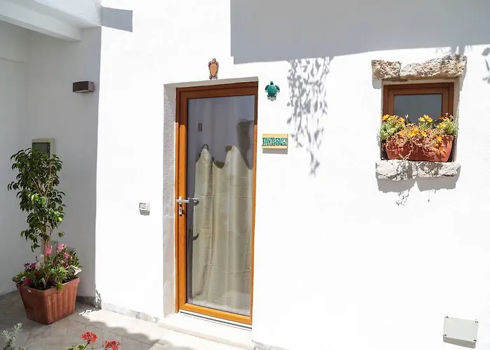 Gasthof Olbia Domus Inn Olbia