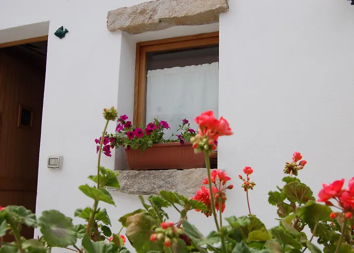 Olbia Domus Inn Guest house