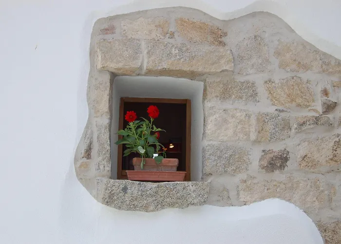 Guest house Olbia Domus Inn