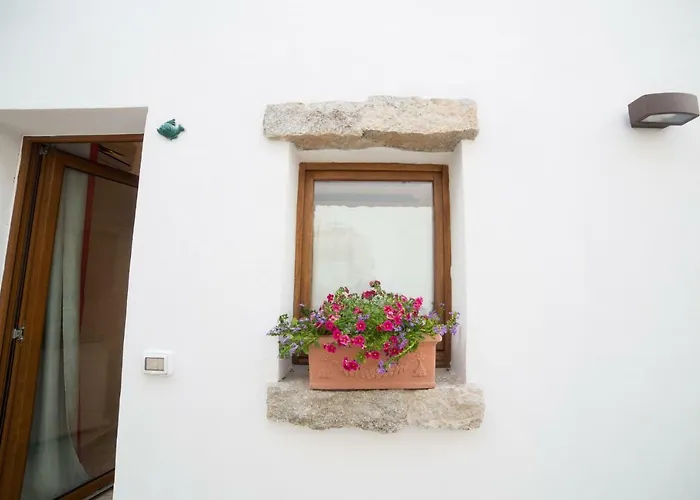 Guest house Olbia Domus Inn 3*