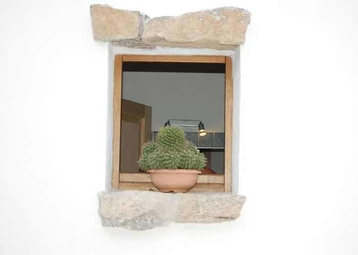 Olbia Domus Inn Guest house Olbia